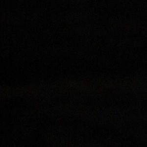 Meet your Posher, Isabella